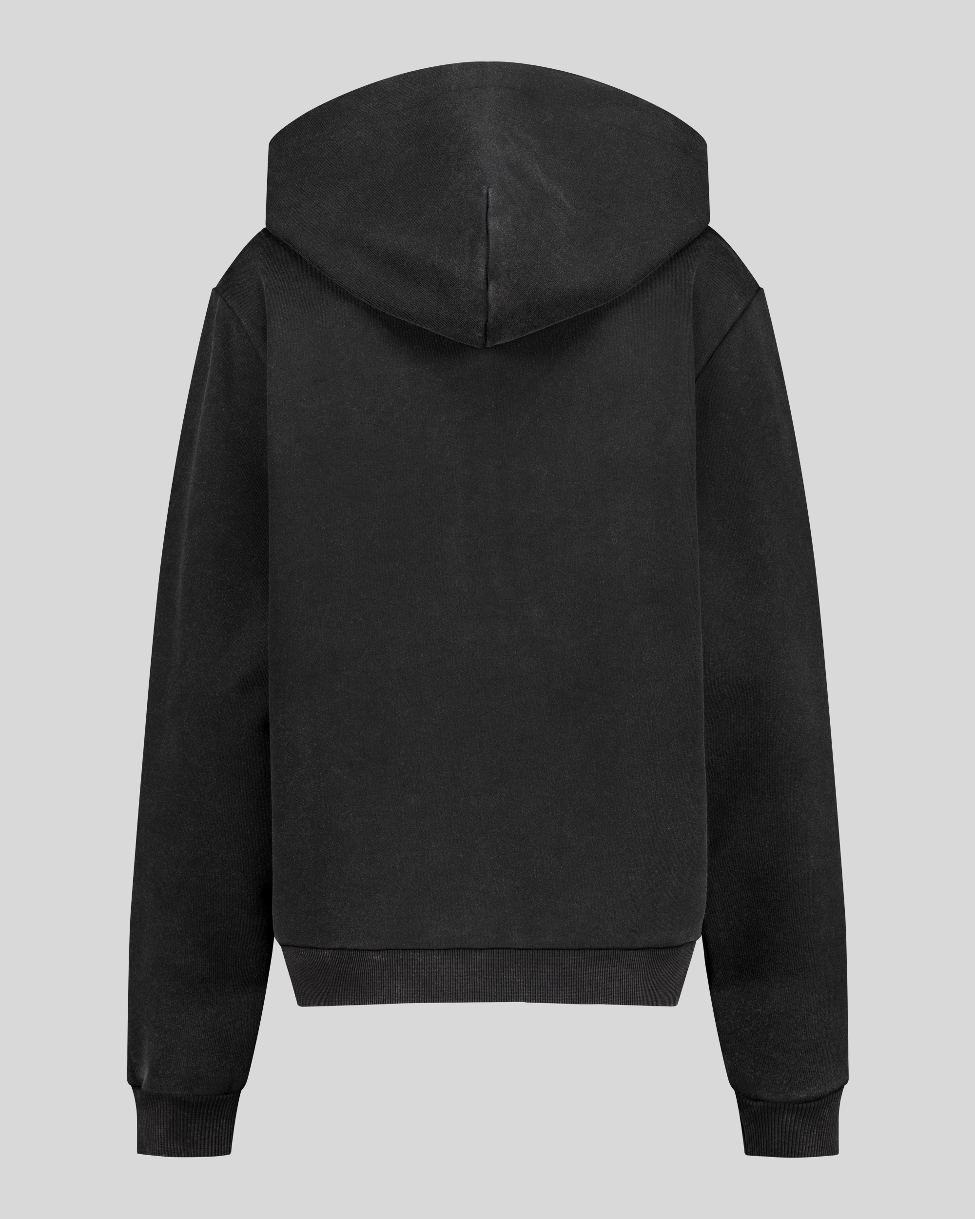 REGULAR FIT HOODIE ZIP